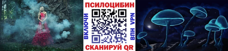 Галлюциногенные грибы Psilocybe  Харовск 
